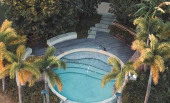 Springwoods Club Palm Tree Hotel