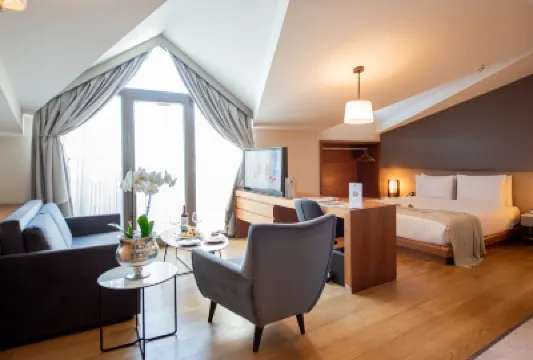 ドッソ ドッシ ホテルズ＆スパ ダウンタウン ファティフ・モスク周辺のホテル