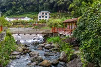 陸河兩山森林康養民宿（萬東店） - 親子