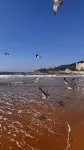 MINGZHU HOTEL - Ocean View