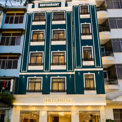 Hali Hotel Da Lat  - City Center โรงแรมใกล้ดาตันลาไฮโรปคอร์ส