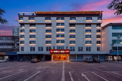 Shankee Hotel (Pingdingshan Wugang Ganxiu Road) - bar