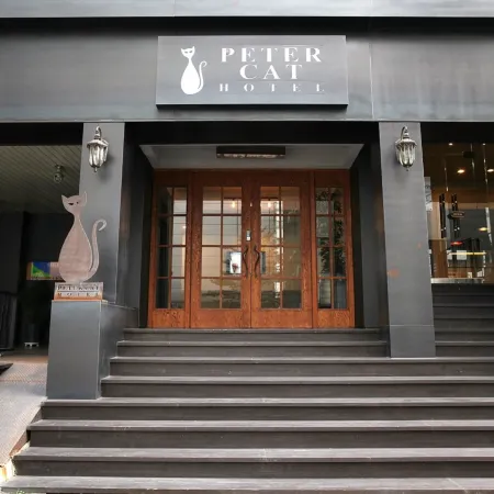 Petercat Hotel Shinchon