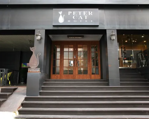 Petercat Hotel Shinchon Hotels near Charm & Charm