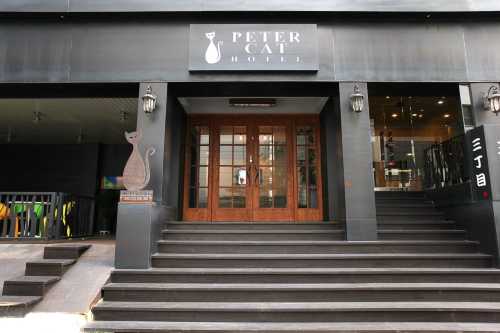 弘大新村彼得貓飯店