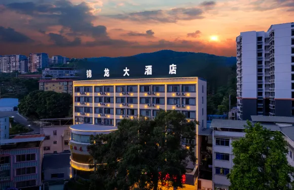 田林錦龍大酒店