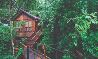 Japamala Resort by Samadhi – Age 12 and Above Only