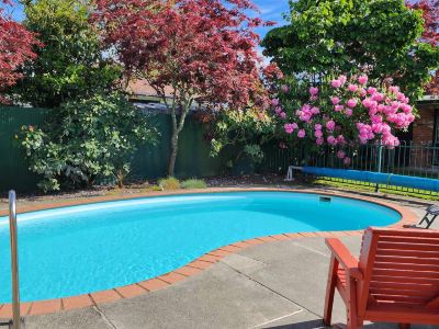 Regency Motel Ashburton