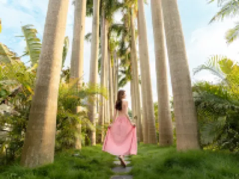 Yunqi Moye · Secret Realm Boutique Stay Hotels near Yingxi Fenglin Corridor