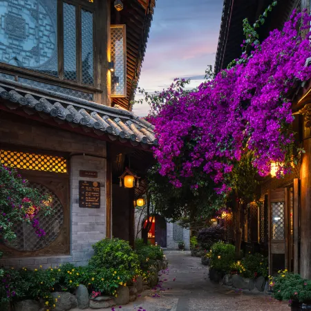 Lijianggucheng·Shan Shui Aisi Huayuan Hotel
