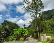 Jiuhuang Xinyi Homestay