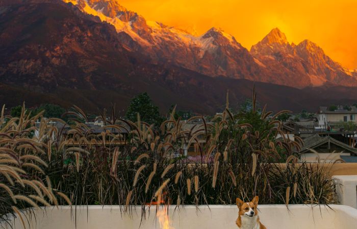 Xueyu Qieman Homestay (Baisha Ancient Town Branch)