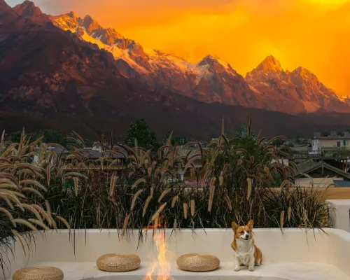 Xueyu Qieman Homestay (Baisha Ancient Town Branch) Hotels in Yulong
