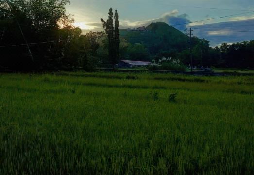 디 아카시아 글램핑 파크