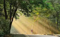 Dongguan Marriott Hotel - Mountain view