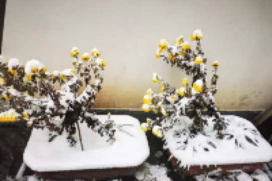 平安客棧（荊紫關鎮店）