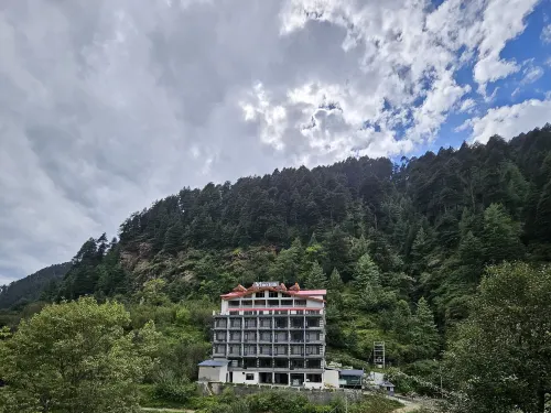 Vine Hills Manali