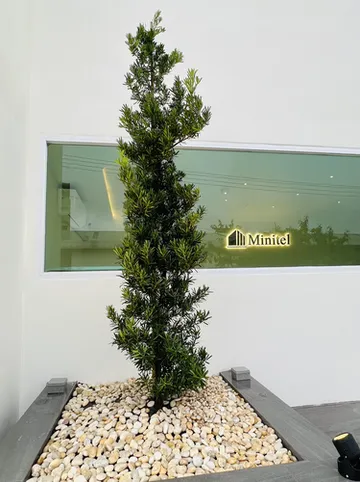 รูปภาพของมินิเทลแอทหาดใหญ่