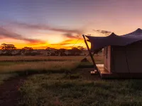 Anantya Serengeti Hotels in Serengeti