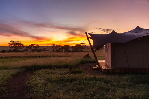 Anantya Serengeti Hôtels à : Plaine du Serengeti