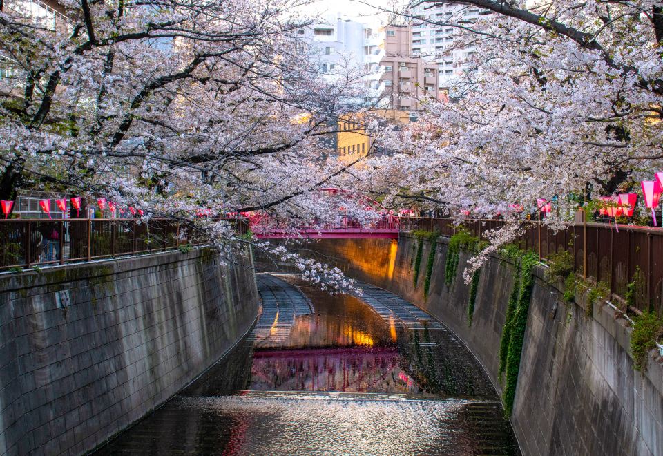 [도큐스테이 메구로 유텐지 깔끔한 객실 내부]