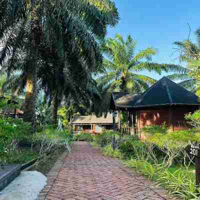 Perfect Forest Eco-Resort Hotel Exterior