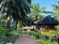 Perfect Forest Eco-Resort 仙本那酒店