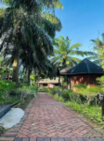 Perfect Forest Eco-Resort