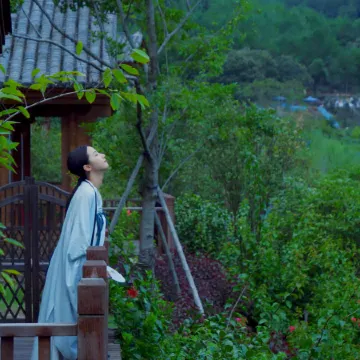 Rice Paddy Luxury Mountain Retreat (Yaxi Ancient Village Scenic Area Branch)