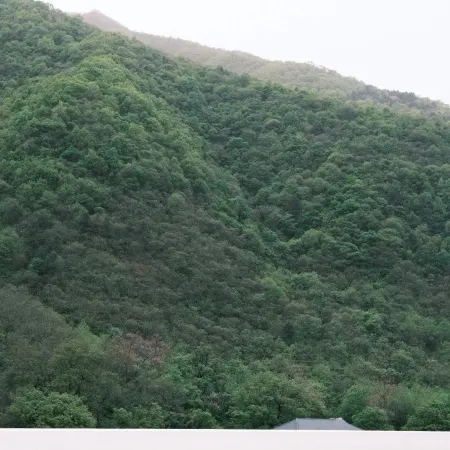 Miduo Manjing Design Guesthouse (Niubeiliang National Forest Park)