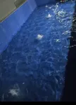 Hoang Kim Hotel & Restaurant - Pools