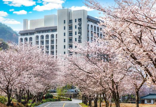 지리산 하동 전경