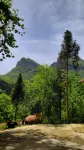 光霧山鎮雲峯意景休閑民宿