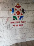 Central Asia Inn Hotel - واي فاي