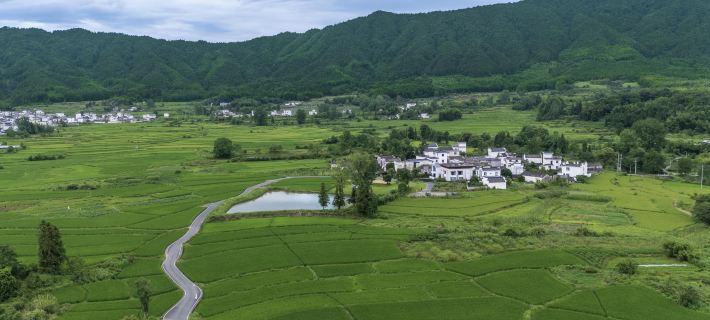 The Garden of Forking Paths Hotel di Daerah Yi