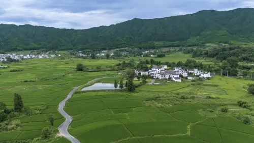 The Garden of Forking Paths - หรู