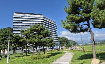 Diamer Hotel Yangyang By Stayneo 
