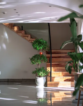 House Designer Resort in the Hills