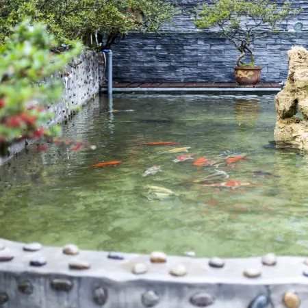 Lexuju Private Tang Homestay (Wawushan Branch)