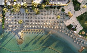 Tui Magic Life Bodrum - Adults Only