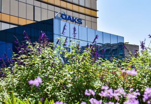 2. 오크스 청두 문..