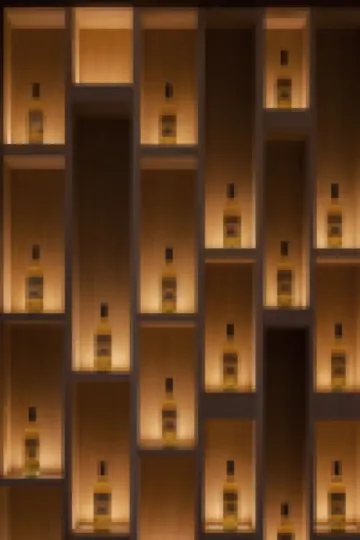 Flowing Strings  Guitar hotel