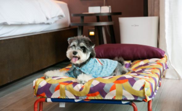 Hyatt Regency Sanya Tianli Bay