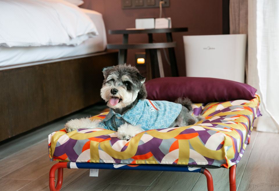 싼야 톈리완 하얏트 리젠시 호텔 이미지