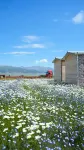 Tian'e Leshui Homestay (Sailimu Lake Scenic Area)