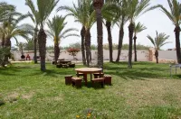 Le Patio de Mezraya Hotels in 