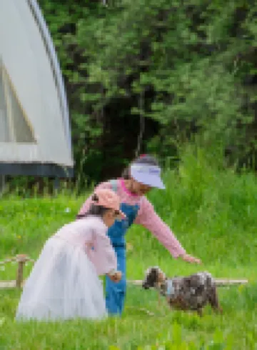 Shangri-la Rongqia·Glamping Namcuo Hot Spring Tent Camp