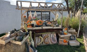 ESCAPECITY Escape City Plan Wild Luxury Homestay