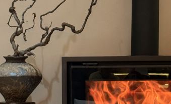 Tuyu · Aroyah Homestay