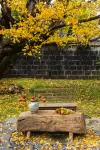 Tengchong Lefan Jingshe Hotels near Yinxing Village